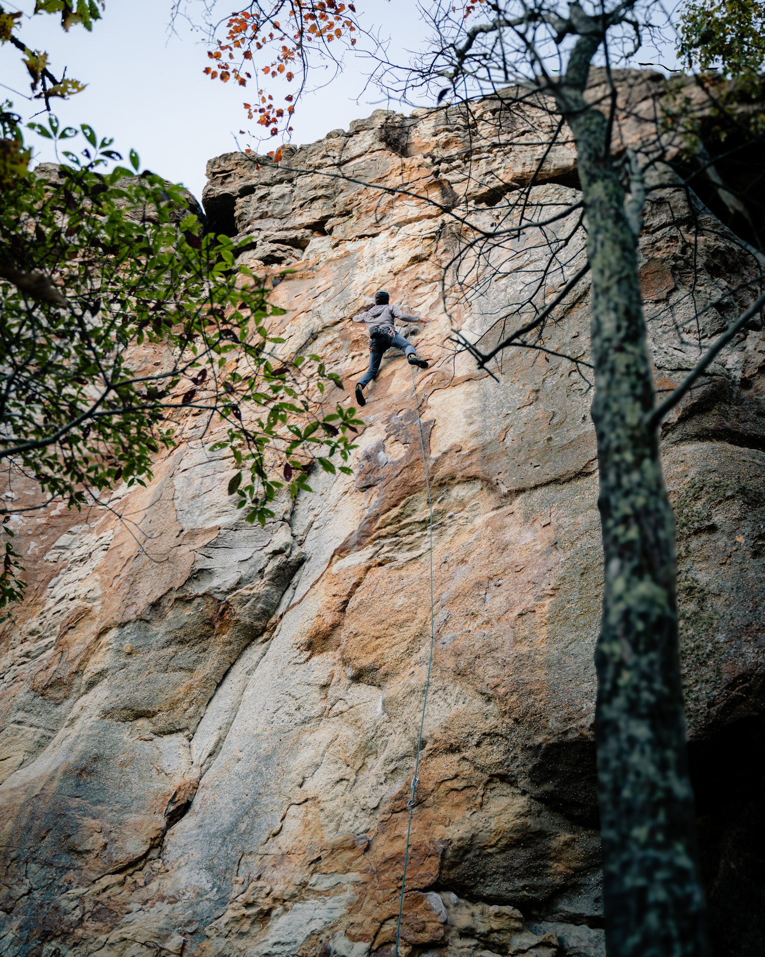 Long Way Up