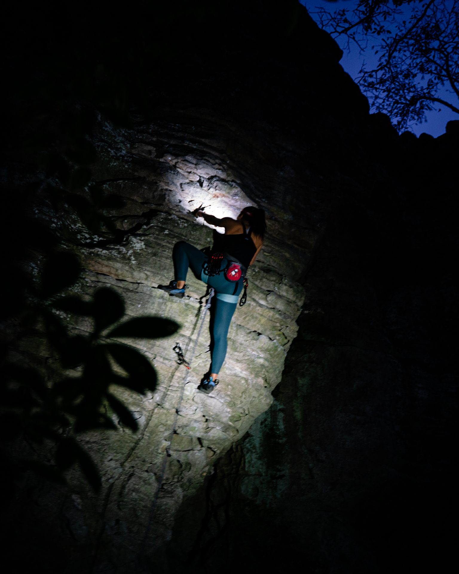Night Rider