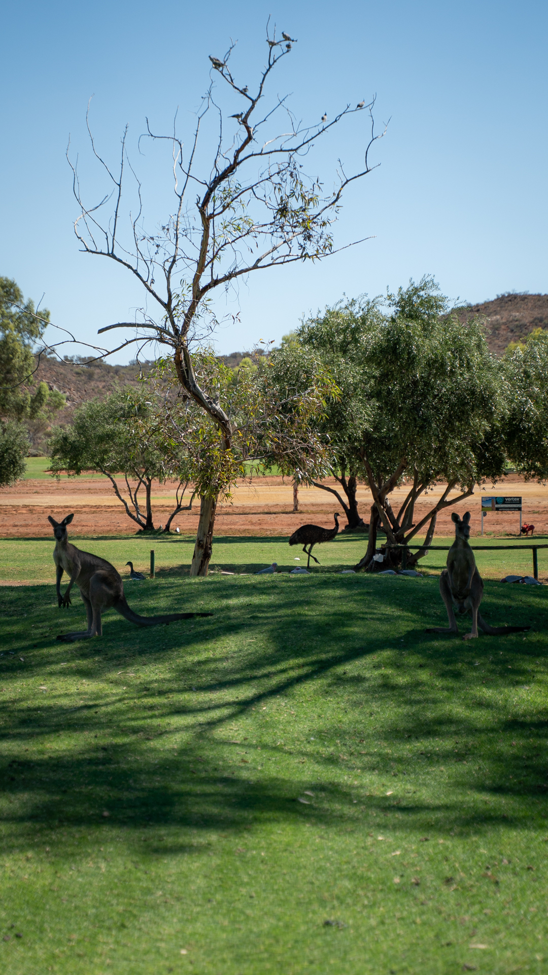 Broken Hill Golf & Country Club
