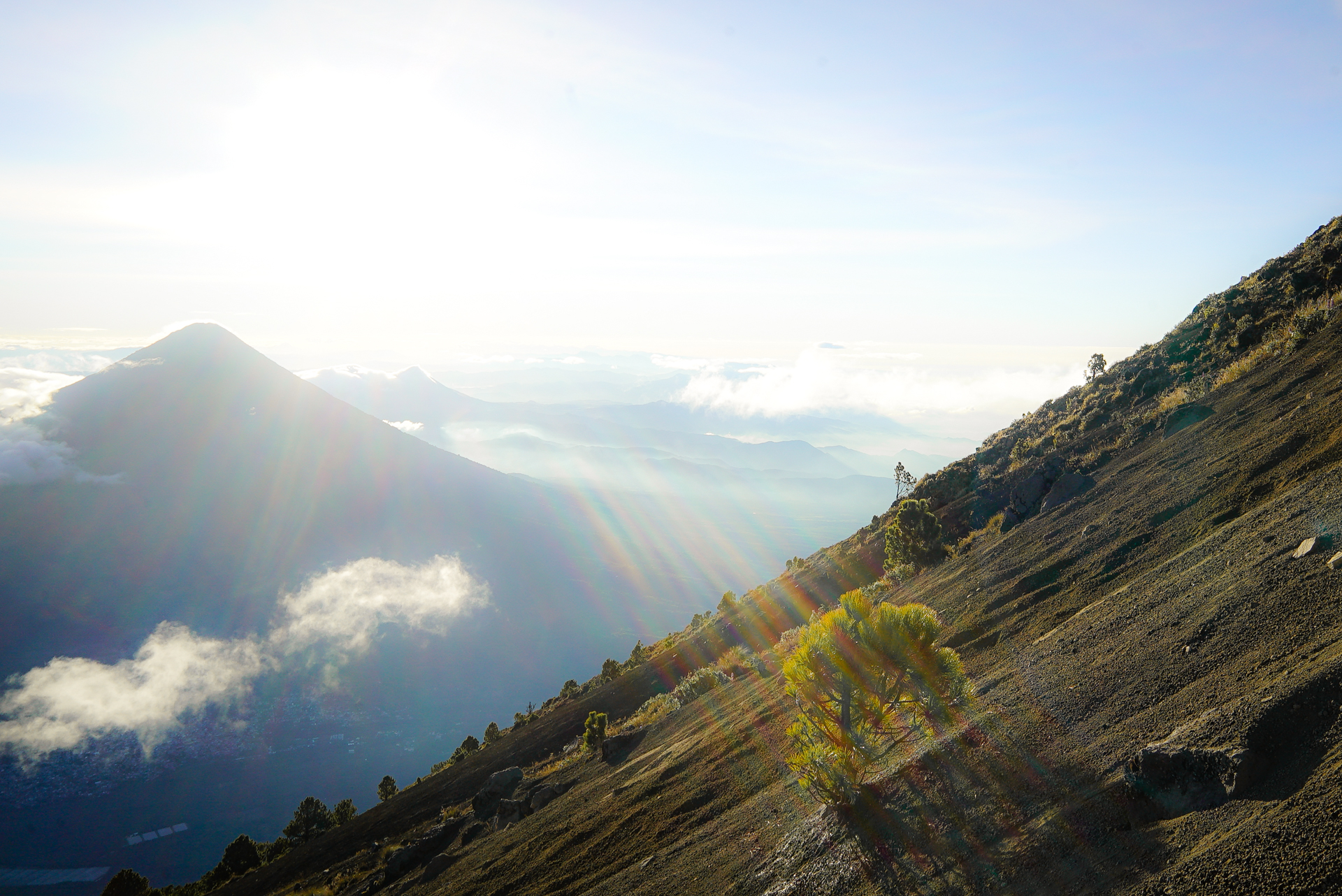 Sunrise Scramble